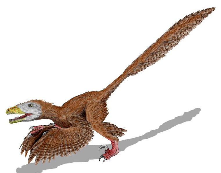 http://esencia21.files.wordpress.com/2009/01/761px-deinonychus_bw.jpg