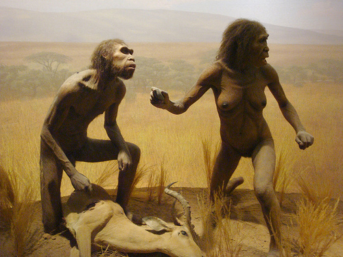 http://farm4.static.flickr.com/3506/3177261617_2de9f5c1e8.jpg