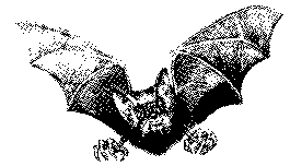 http://1.bp.blogspot.com/_5k17VC2Eglg/Rl2oIv0DayI/AAAAAAAAABU/Pulygae7Bk4/s320/vampiro.gif
