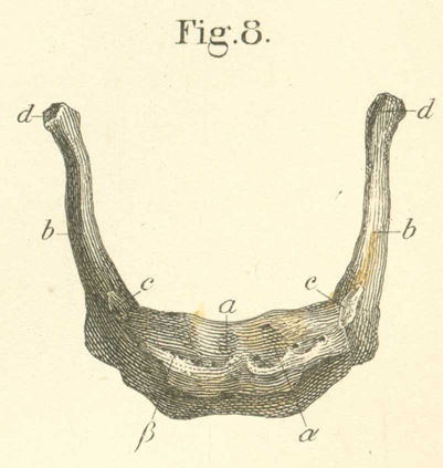 http://www.anatomyatlases.org/atlasofanatomy/plate01/images/1-8_static.jpg