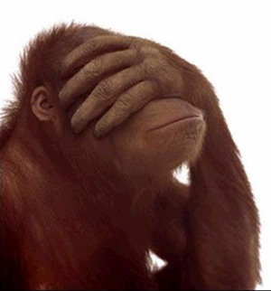 http://www.rankia.com/blog/iruzubieta/uploaded_images/mono.jpg