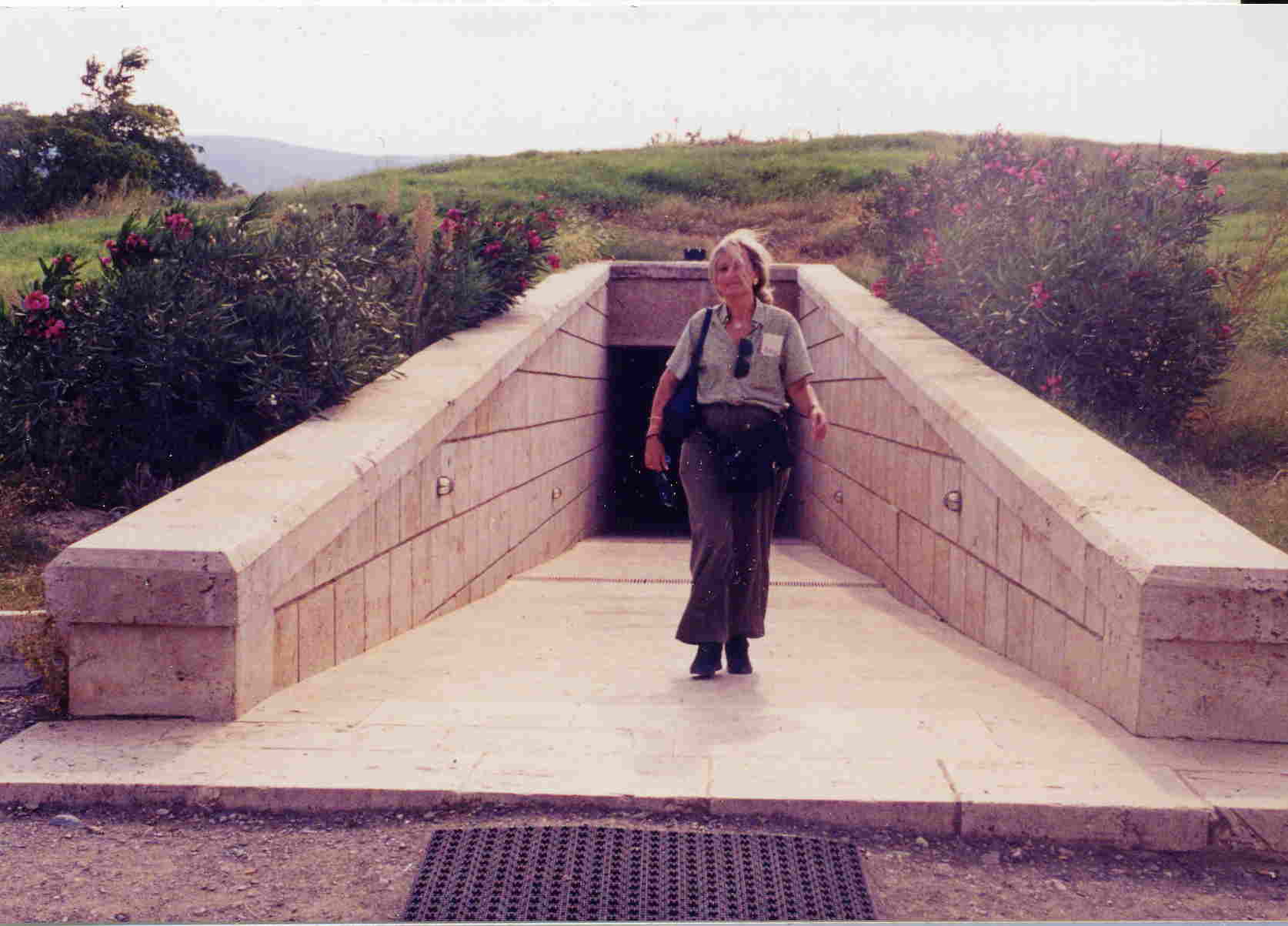 http://www.uned.es/geo-1-historia-antigua-universal/MIS_FOTOS/TUMULO_REAL_VERGINA1.jpg