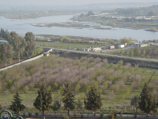 http://www.uned.es/geo-1-historia-antigua-universal/images2/Almendros_en_flor_Mossull.jpg