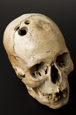 http://www.sciencemuseum.org.uk/hommedia.ashx?id=9188&size=Small
