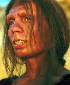 http://blog.evolutionibus.info/imagenes/neandertal.jpg