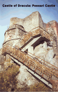http://www.dractour.com/images/Dracula-Poenari-Castle.gif