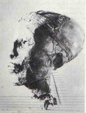 http://www.egiptologia.com/images/stories/tutankhamon/libaciones/7b.jpg
