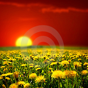 http://thumbs.dreamstime.com/thumb_281/1214059793oJKk94.jpg