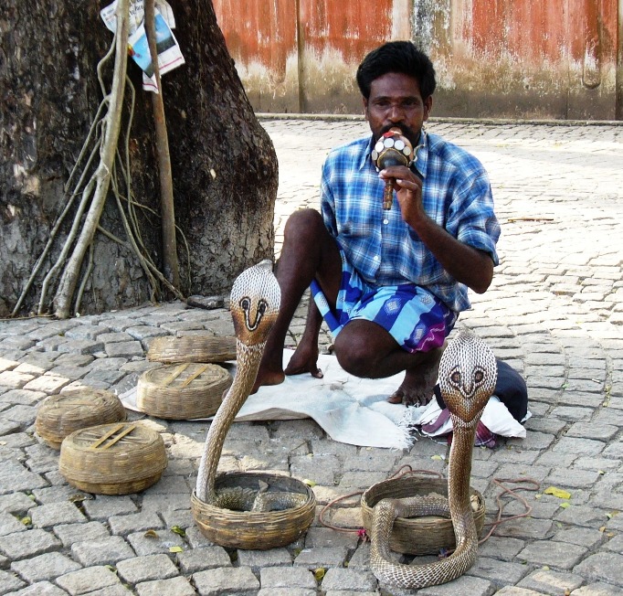 http://infolab.stanford.edu/~widom/photos/snakecharmer.jpg
