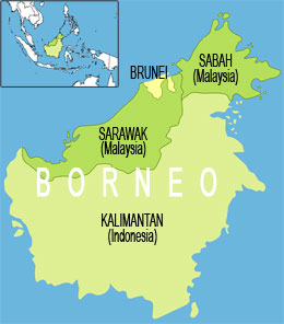 http://photos.mongabay.com/06/1211borneo.jpg