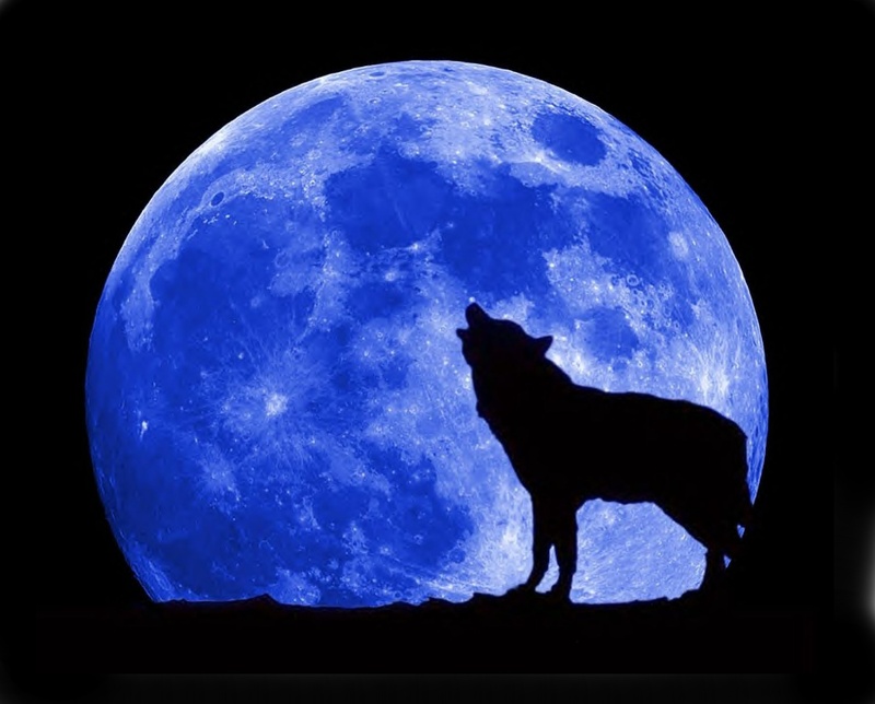 http://images2.layoutsparks.com/1/228214/blue-moon-wolf-full.jpg