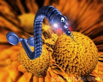 http://losmasca.files.wordpress.com/2009/06/t395284-nanorobot_attacking_cancer_11.jpg
