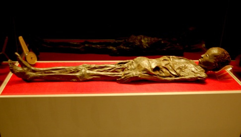 The Zagreb Mummy por Curious Expeditions.