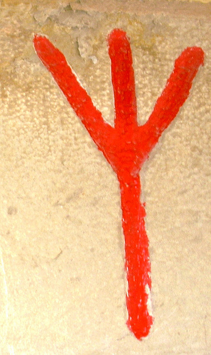 http://farm4.static.flickr.com/3048/2668411053_be793af6b2.jpg
