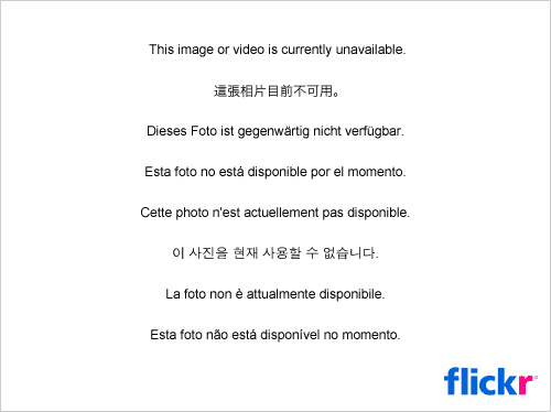 http://farm4.static.flickr.com/3104/2692639986_c41d761d94.jpg