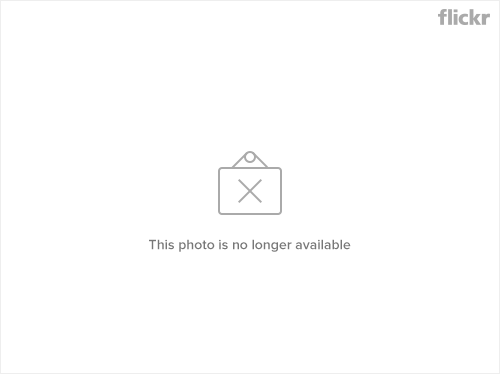 http://farm4.static.flickr.com/3243/3077397396_5bd5614f79.jpg