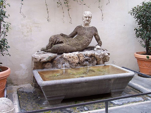 El babuino