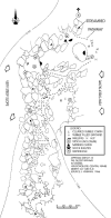 Roadmap1.gif (157995 bytes)