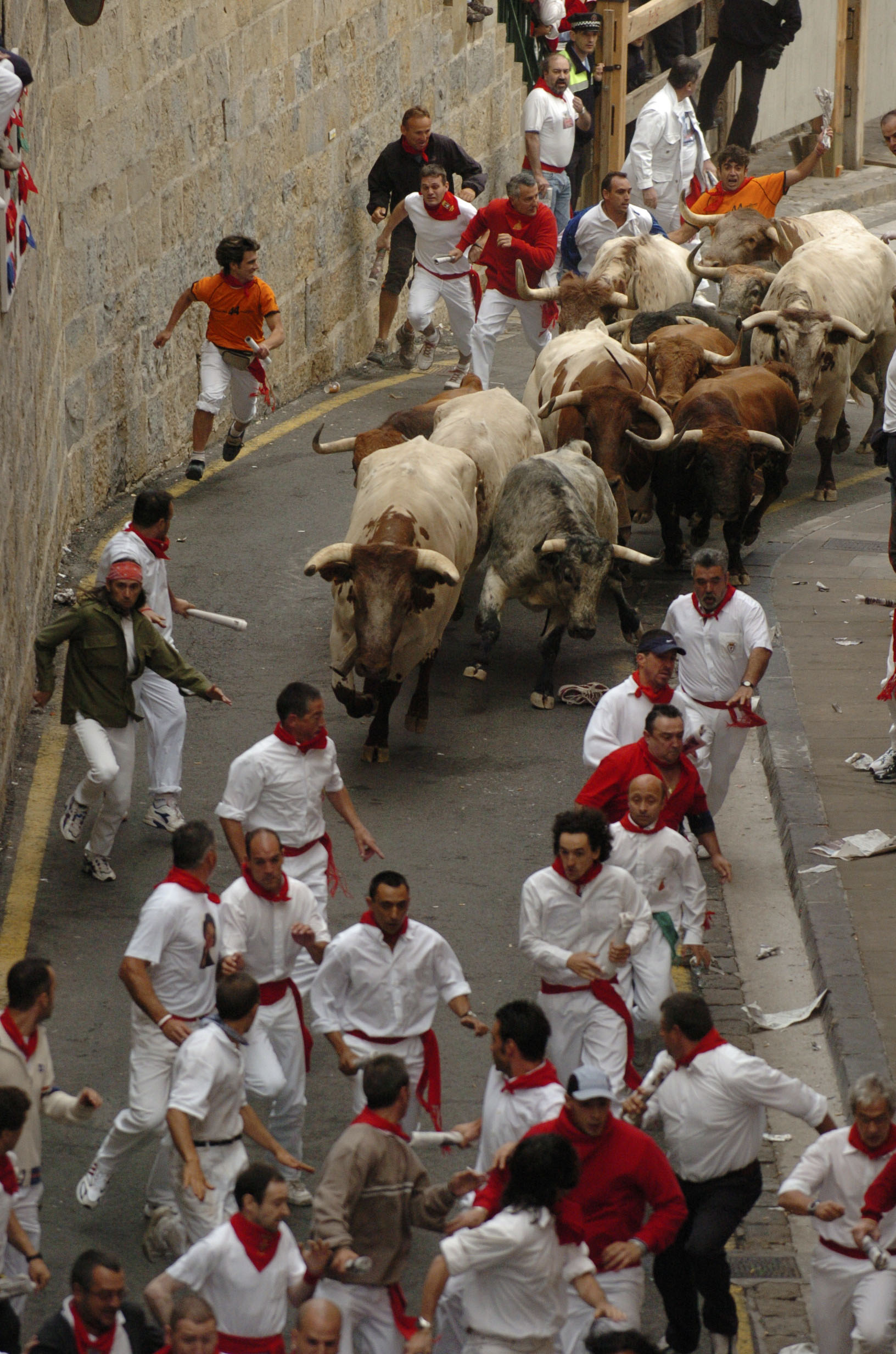 http://www.navarra.es/NR/rdonlyres/0C47421E-03F7-4CD0-B1FB-FB25FB31DD25/58640/encierro8dejulio.jpg