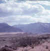 Namibia.Damara.Brandberg1.jpg (32336 bytes)