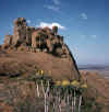 Namibia.Damara.Spitzkoppe4.jpg (41118 bytes)