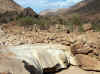 Namibia_Damara_Brandberg_Tsisab_3.JPG (107091 bytes)