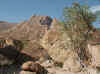Namibia_Damara_Brandberg_Tsisab_Jochmann_1.jpg (111111 bytes)