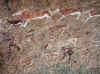 Namibia_Damara_Brandberg_Tsisab_Maack_1.JPG (133867 bytes)