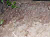Namibia_Damara_Gai-As_Site_1_1.JPG (107003 bytes)