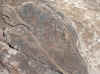 Namibia_Damara_Gai-As_Site_2_1.JPG (121240 bytes)