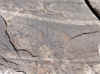 Namibia_Damara_Gai-As_Site_2_2.JPG (136028 bytes)