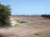Namibia_Damara_Gai-As_Waterhole_1.JPG (89382 bytes)
