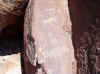 Namibia_Damara_Twyfelfontein_11.JPG (95572 bytes)