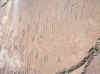 Namibia_Damara_Twyfelfontein_17.JPG (123289 bytes)