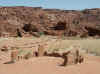 Namibia_Damara_Twyfelfontein_1.JPG (104418 bytes)