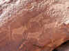 Namibia_Damara_Twyfelfontein_21.JPG (121804 bytes)