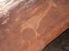 Namibia_Damara_Twyfelfontein_22.JPG (96071 bytes)