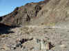 Namibia_Damara_Ugab_Crossing_10.JPG (130950 bytes)