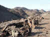 Namibia_Damara_Ugab_Crossing_3.JPG (107437 bytes)