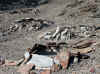 Namibia_Damara_Ugab_Crossing_6.JPG (136094 bytes)