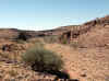 Namibia_Karas_Warmfontein_GurusRiver_1.JPG (104204 bytes)