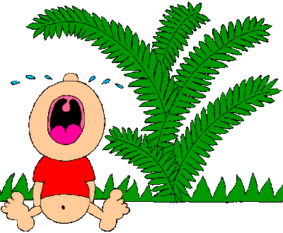 http://1.bp.blogspot.com/_8jbLh9YEAEI/SLEsFtq7DRI/AAAAAAAAD2U/S3LgYn0pdyk/s400/bebeLLorando.gif