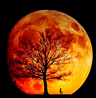 http://2.bp.blogspot.com/_OmFxyG88NTQ/SCDW4PEft4I/AAAAAAAAALs/gimYpHOJX50/s320/luna+roja+y+arbol.jpg