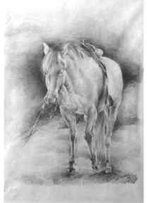 http://4.bp.blogspot.com/_VBuOxz7cYoI/SIDHMKNVYBI/AAAAAAAABso/JcFYWUFS3qY/s400/lapiz-caballo.jpg