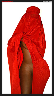 http://1.bp.blogspot.com/_cGgCYav2H4A/So7TjQQnHtI/AAAAAAAAAKg/MObzD-pKOkA/s320/burka2.jpg