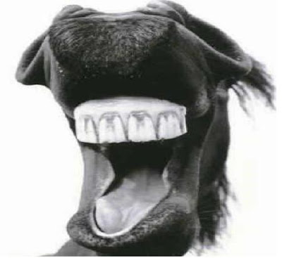 http://3.bp.blogspot.com/_sFgbYhj7xDI/R-7IH4e771I/AAAAAAAAAfg/wX2rMVFM6ns/s400/3667166riendo.jpg