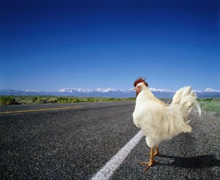 http://3.bp.blogspot.com/_uUM2a9AeEzw/SpqoAgZk9AI/AAAAAAAADKc/Z1AAAMdfdik/s320/Pollo.jpg