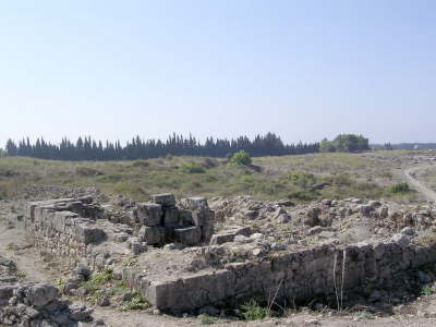 The Temple of Baal at Ugarit