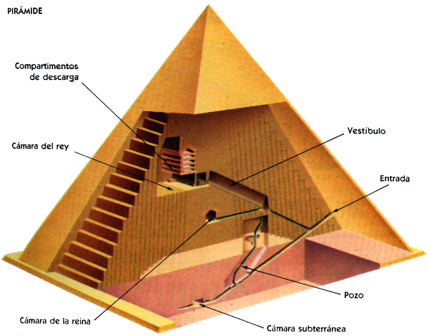 http://www.juntadeandalucia.es/averroes/~23000180/sociales/piramide.jpg
