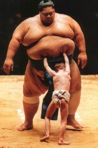 http://i.zdnet.com/blogs/david-goliath.jpg